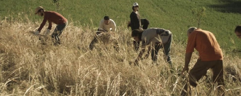 La Terra e il Cielo: i primi dati della campagna di SOStegno
