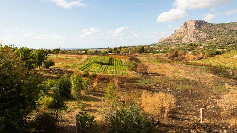 Sicilia agroecologica: la nuova legge regionale è approvata