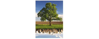 Convegno su "Metropoli agricole" a Milano