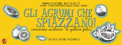 Gli agrumi che spiazzano