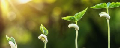 Agricoltura, cibo, salute