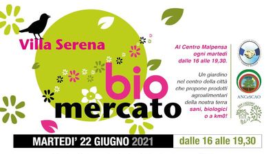 Pensando al solstizio: presentazione del libro "Cosa c'è nel mio piatto"
