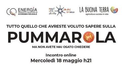 Tutto quello che avreste voluto sapere sulla pummarola