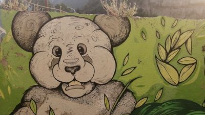 Dalla strategia delle foreste di bambù, la forza delle connessioni per resistere e cambiare il mondo