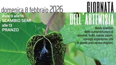 Giornata dell’artemisia