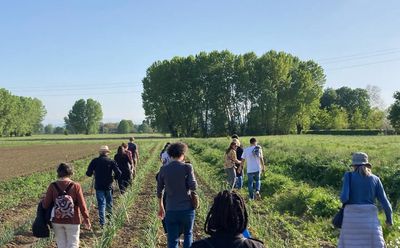 Le Reti Alimentari Contadine in Emilia-Romagna: pubblicato il report