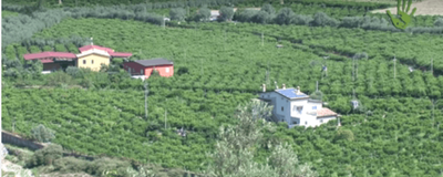 L’agricoltura in Calabria? Donna, biologica e solidale!