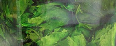 In gita all’Azienda Agricola che produce detersivi