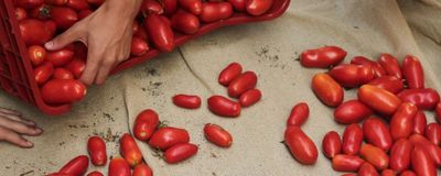 Il patto 2019 per La Buona Terra