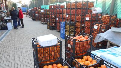 Riorganizzare la distribuzione a Torino