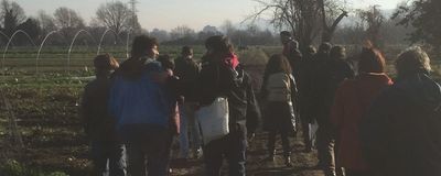 Comunità che supporta l'agricoltura