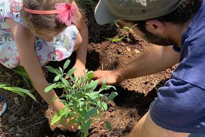 Stati Generali Solidali
