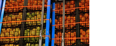 A partire dalle arance