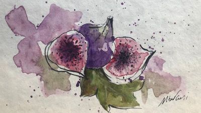 Presentazione del progetto "La Sporta Solidale"