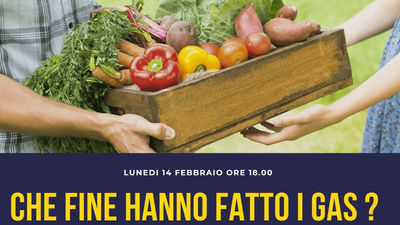 Che fine hanno fatto i Gas?