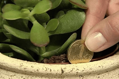 Fondo regionale per l'economia solidale