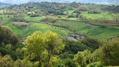 Grande successo del Forum dell'Economia Solidale E-R