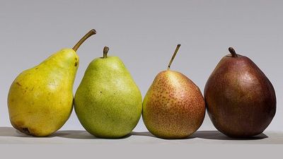 Gruppi d'acquisto solidale, un fenomeno in crescita