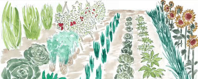 Il Giardino delle Bio-diversità