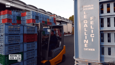 Chi viene a cena? Galline Felici e Biosmurra