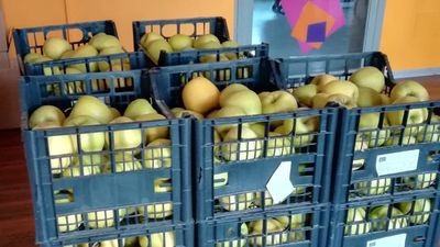 Il Gas Roccafranca partecipa alla Spesa SOSpesa