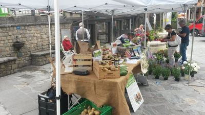 Dalla Terra alla tavola