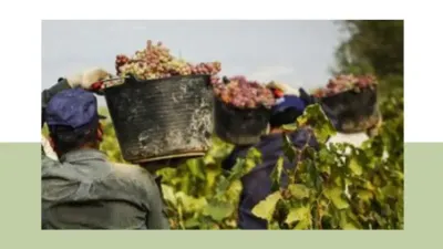 Cittadini protagonisti di filiere agroalimentari solidali e sostenibili