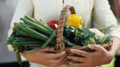 Parte il crowdfunding per DiSoTTO