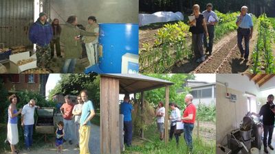 I Sistemi di Garanzia Partecipata