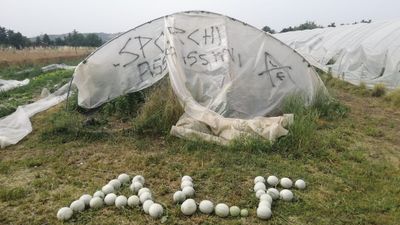 Gravi danni alle colture di Arvaia. Solidarietà e sostegno.