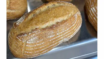 Dal grano al pane, nasce Panacea Social Farm