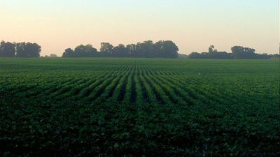 Dare rispetto e valore al lavoro agricolo