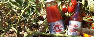 Pomodori Sfrutta Zero