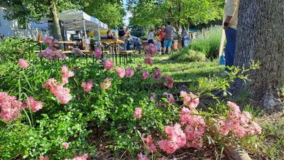 Effetto Solidalia, la bellezza dell’incontro e del confronto