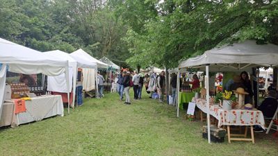 Come procede l’evoluzione del consumo responsabile in Italia