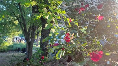 30 anni di consumo critico. Hanno ancora senso i gruppi di acquisto solidale?