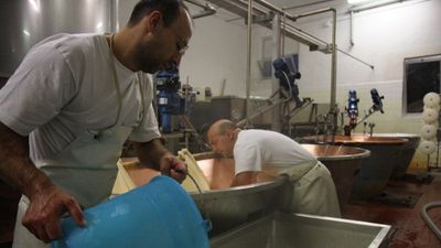 Il caseificio salvato dai clienti