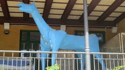 Il viaggio di Ines a Trieste, oltre i confini