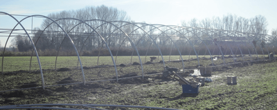 Adesso Pasta! finanzia la costruzione di un tunnel