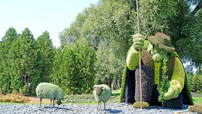 Vorrei essere un uomo libro