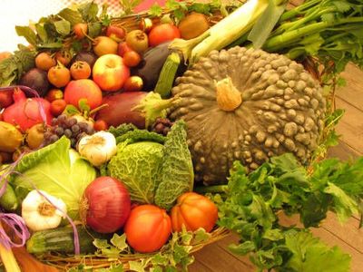 Isola e TerraTerra insieme per una distribuzione del bio locale