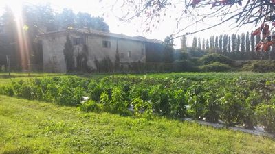 L'importanza dell'Agroecologia