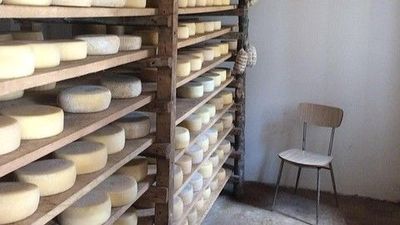 Questione formaggi a latte crudo: Lettera aperta ai Ministeri 