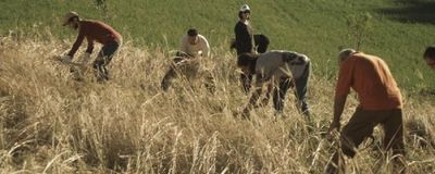 La Terra e il Cielo: i primi dati della campagna di SOStegno