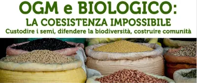OGM e Biologico: la coesistenza impossibile