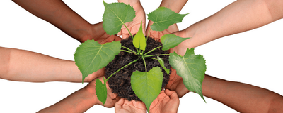 L'economia solidale e la crisi Covid-19: unire le forze per una strategia comune