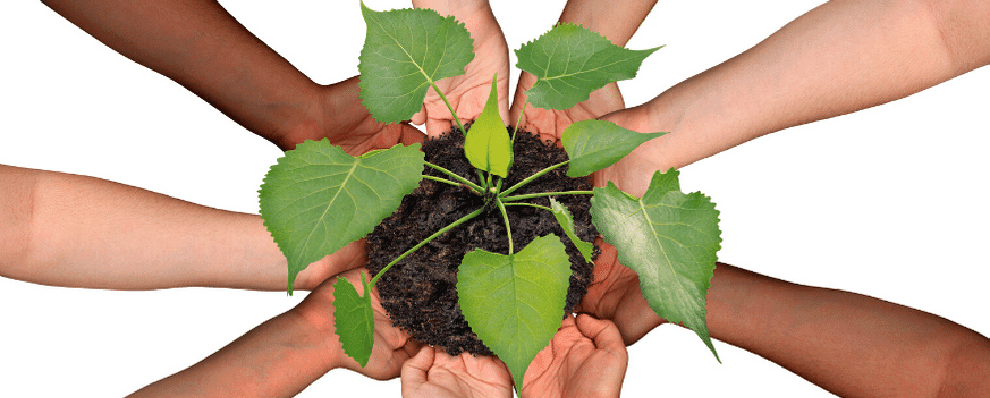 L'economia solidale e la crisi Covid-19: unire le forze per una strategia comune